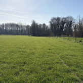 Landbouwgrond te Geraardsbergen (Zarlardinge) gelegen aan de straat