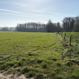 Landbouwgrond te Geraardsbergen (Zarlardinge) gelegen aan de straat