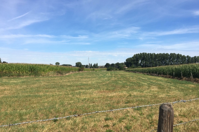 Landbougrond te koop in Merchtem Landbougrond te koop in Merchtem