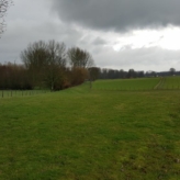 Omheinde weide te koop