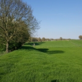 Omheinde weide te koop
