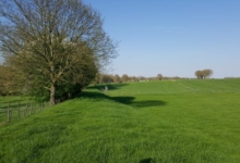 Omheinde weide te koop