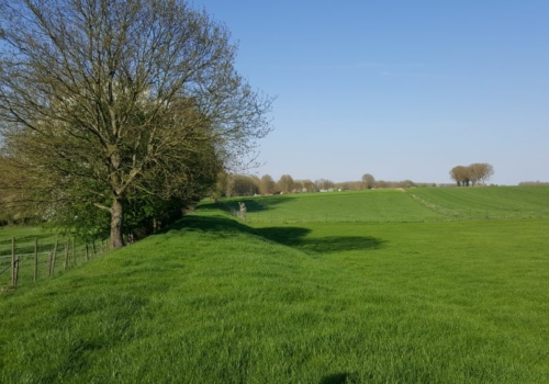 Omheinde weide te koop