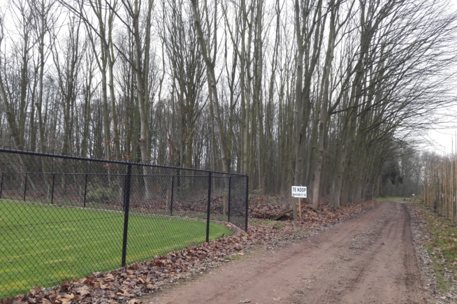 Bos in Begijnendijk te koop van 1ha70 Bos in Begijnendijk te koop van 1ha70