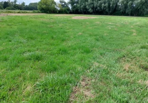 Landbouwgrond te koop in Geetbets.
