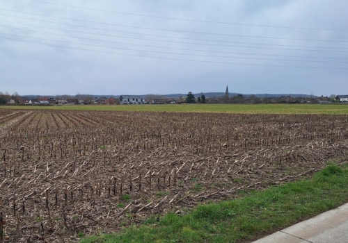 Rotselaar Ruim Landbouwperceel Grensstraat