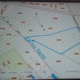Weiland te koop in Eksel