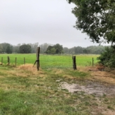 Weiland te koop in Hechtel-Eksel