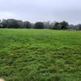 Weiland te koop in Hechtel-Eksel