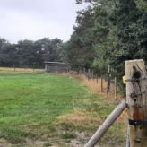 Weiland te koop in Hechtel-Eksel