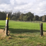 Weiland te koop in Eksel