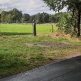 Weiland te koop in Eksel