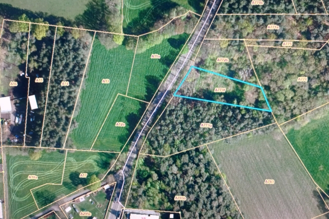 TESSENDERLO-HAM 5 AFD/OOSTHAM natuurgebied