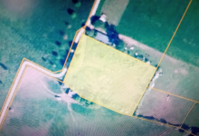 Bosgrond te koop Hasselt