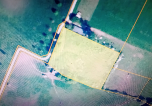 Bosgrond te koop Hasselt Bosgrond te koop Hasselt