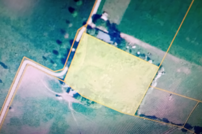 Bosgrond te koop Hasselt