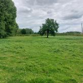 11,4 HA Landbouwgebied Houtstraat Wellen