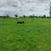 11,4 HA Landbouwgebied Houtstraat Wellen