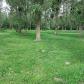 11,4 HA Landbouwgebied Houtstraat Wellen