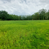 11,4 HA Landbouwgebied Houtstraat Wellen