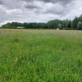 11,4 HA Landbouwgebied Houtstraat Wellen