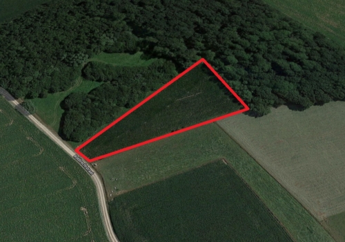 Perceel landbouwgrond te koop – ‘Den Callaris Bosch’ te Merchtem (Brussegem)