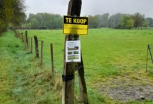 Weiland te koop in Hechtel-Eksel