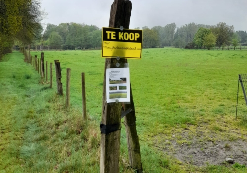 Weiland te koop in Hechtel-Eksel