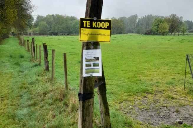 Weiland te koop in Hechtel-Eksel Weiland te koop in Hechtel-Eksel
