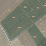 Twee aaneengesloten landbouwgronden (ca. 1 ha) te Landen (Wange)