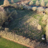 Weide / boomgaard te koop