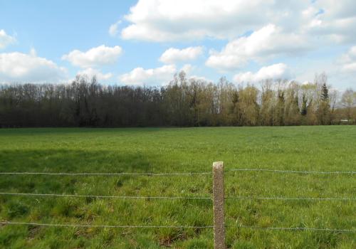 Landbouwgrond/ Weide te koop