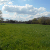 Landbouwgrond/ Weide te koop