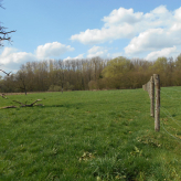 Landbouwgrond/ Weide te koop