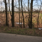 te koop : perceel bouwland in Diepenbeek