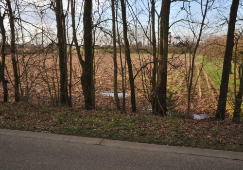 te koop : perceel bouwland in Diepenbeek