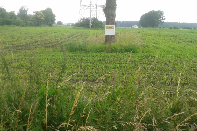 Landbouwgrond te Grote-Brogel Landbouwgrond te Grote-Brogel