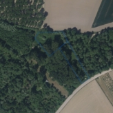 Twee percelen bosgrond te Widooie (Tongeren) – 0,52 ha!