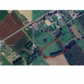 🌳 TE KOOP: Bosgrond in Zoutleeuw – 11.228 m² nieuw aangeplant bos met volwassen bosrand 🌳