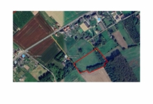 🌳 TE KOOP: Bosgrond in Zoutleeuw – 11.228 m² nieuw aangeplant bos met volwassen bosrand 🌳