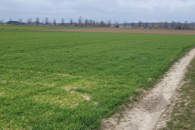 Landbouwgrond te koop te Drieslinter Landbouwgrond te koop te Drieslinter