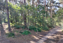 Bosgrond te koop in Heist-op-den-Berg ( Schriek )