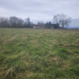 🌳 TE KOOP: Bosgrond in Zoutleeuw – 11.228 m² nieuw aangeplant bos met volwassen bosrand 🌳