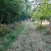 landbouwgrond te Buggenhout, Opstal
