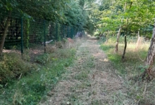 landbouwgrond te Buggenhout, Opstal