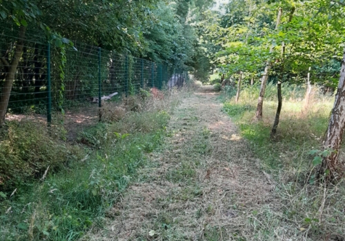 landbouwgrond te Buggenhout, Opstal