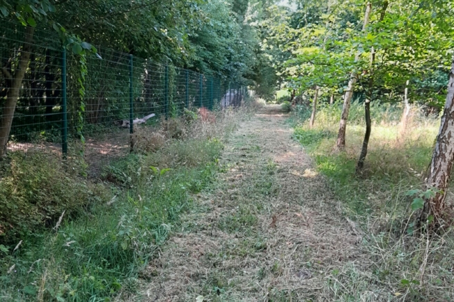 landbouwgrond te Buggenhout, Opstal