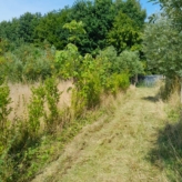 landbouwgrond te Buggenhout, Opstal