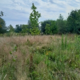 landbouwgrond te Buggenhout, Opstal