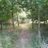 landbouwgrond te Buggenhout, Opstal